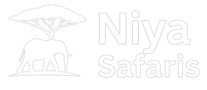 niya-safaris-logo-mini